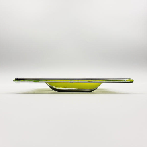 tray